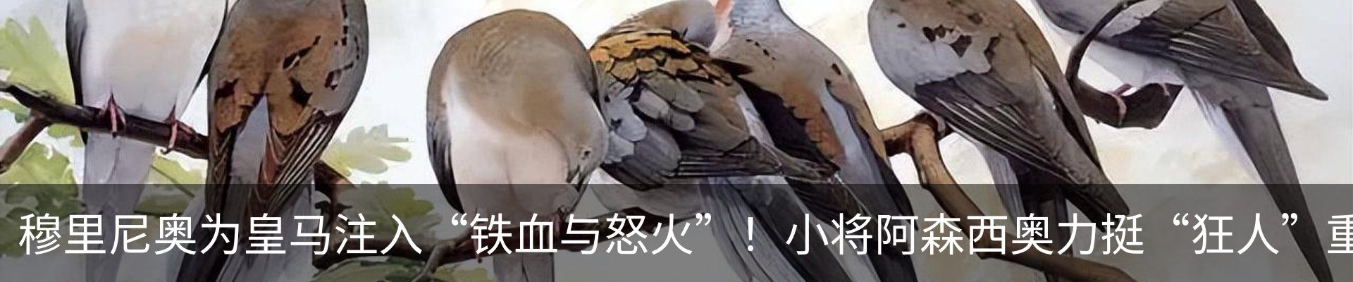 资讯动态