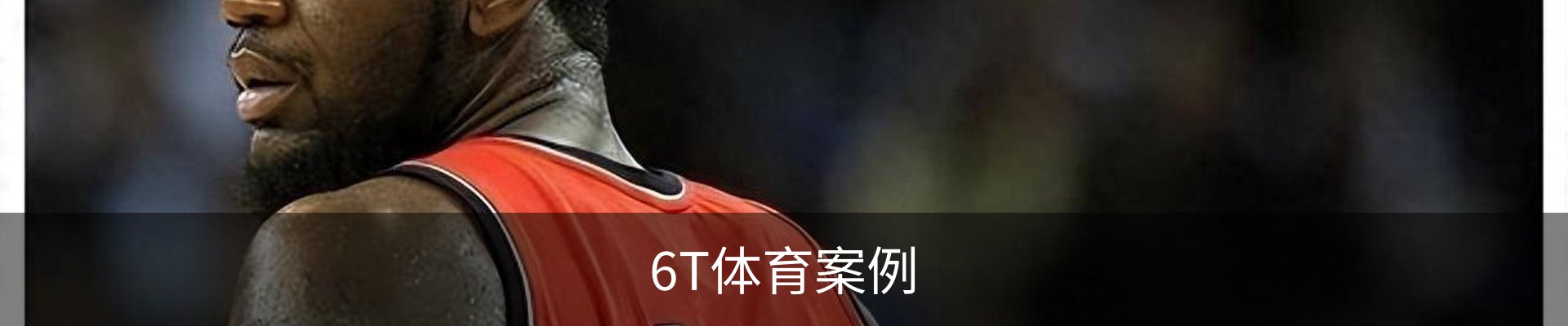 6T体育案例